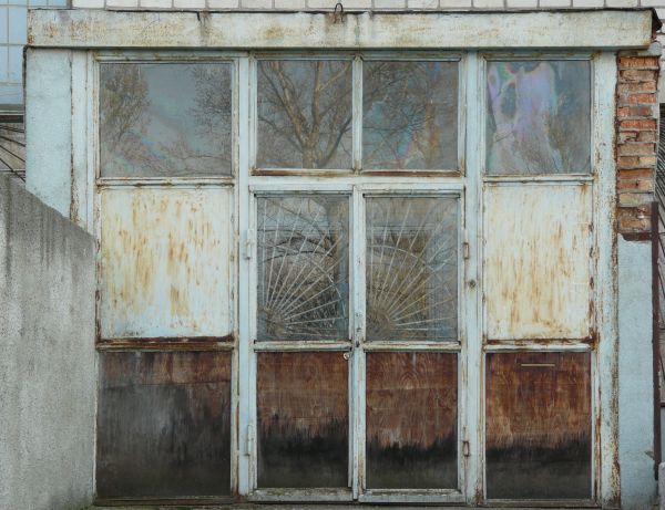 Old glass door with rusting metal frame and design behind glass.